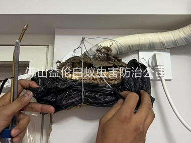 佛山房屋白蚁诱杀工程